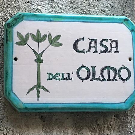 Apartamento Casa Dell'Olmo Orvieto Exterior foto