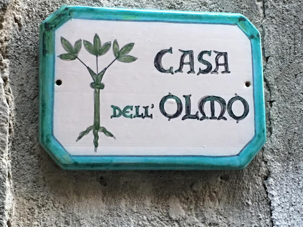 Apartamento Casa Dell'Olmo Orvieto Exterior foto